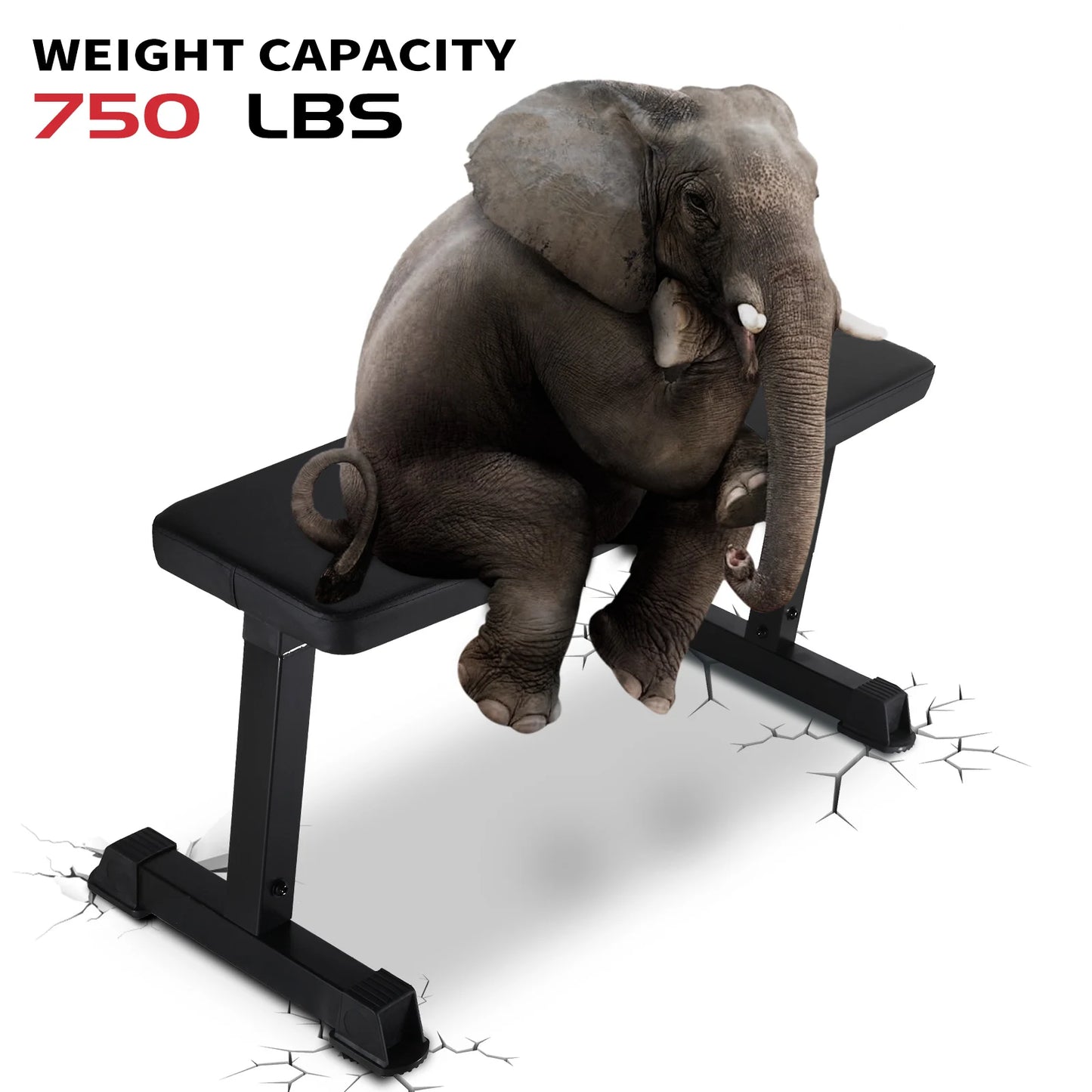 2026 New Custom Heavy-Duty Steel Flat Gym Bench Modern Style Fitness Equipment for Weight Lifting Commercial Gym Equipment