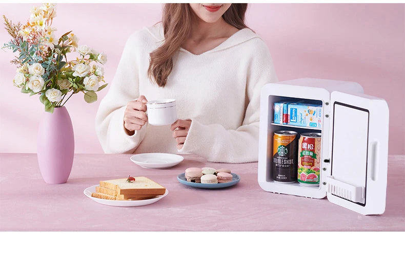 4L Mini Makeup Fridge WIth LED Light Mirror Portable Cosmetic Storage Refrigerator Keep fresh Cooler for Home Car Dual Use