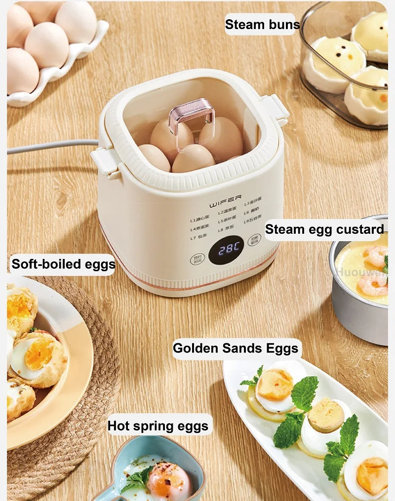 220V Multi-function Electric Steamer Egg Cooker Dormitory Breakfast Machine Reservation Soft-boiled Egg Hot Spring Egg Steamer