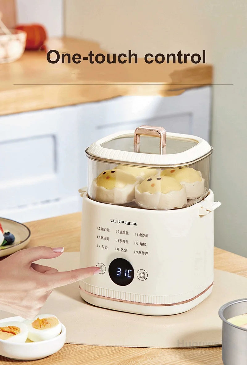 220V Multi-function Electric Steamer Egg Cooker Dormitory Breakfast Machine Reservation Soft-boiled Egg Hot Spring Egg Steamer