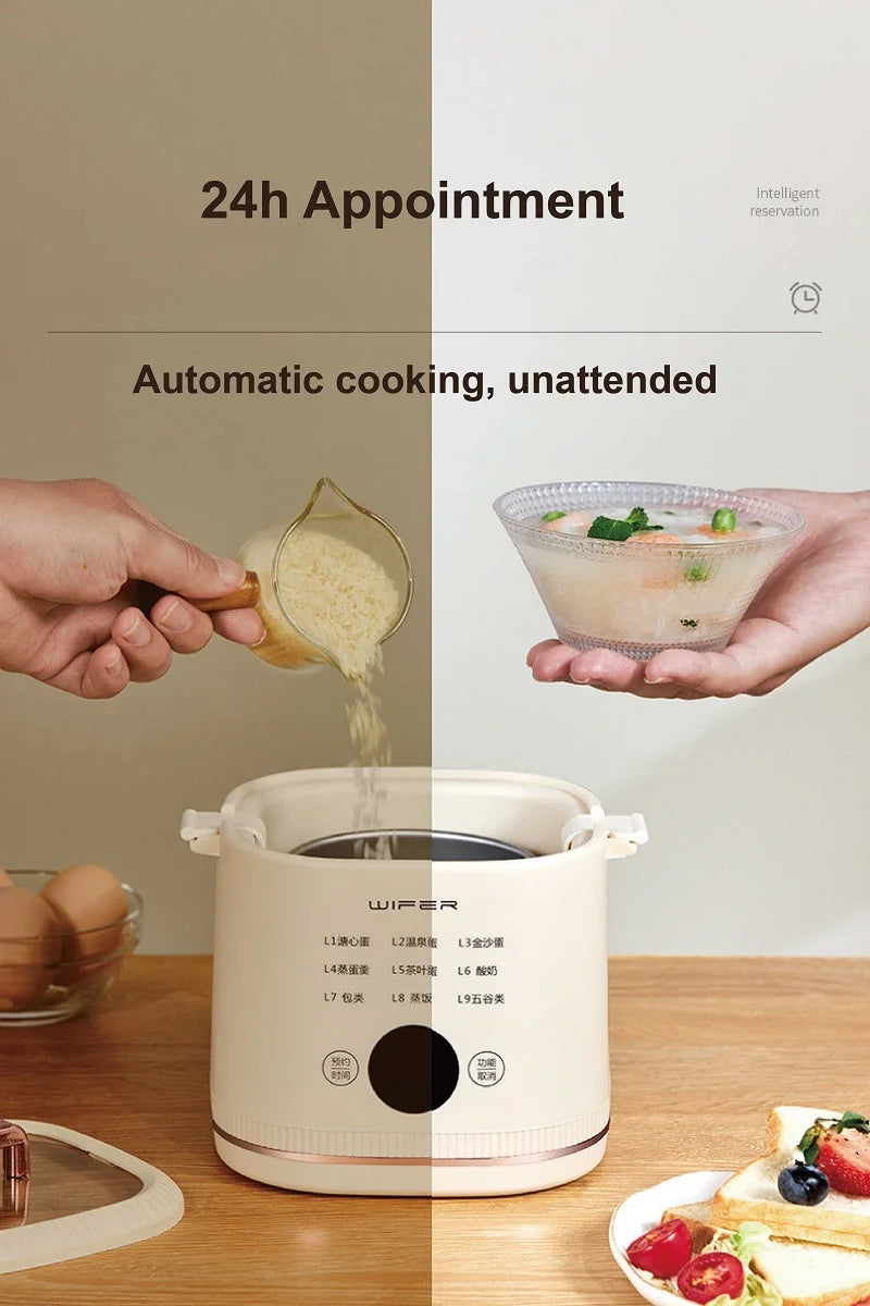 220V Multi-function Electric Steamer Egg Cooker Dormitory Breakfast Machine Reservation Soft-boiled Egg Hot Spring Egg Steamer