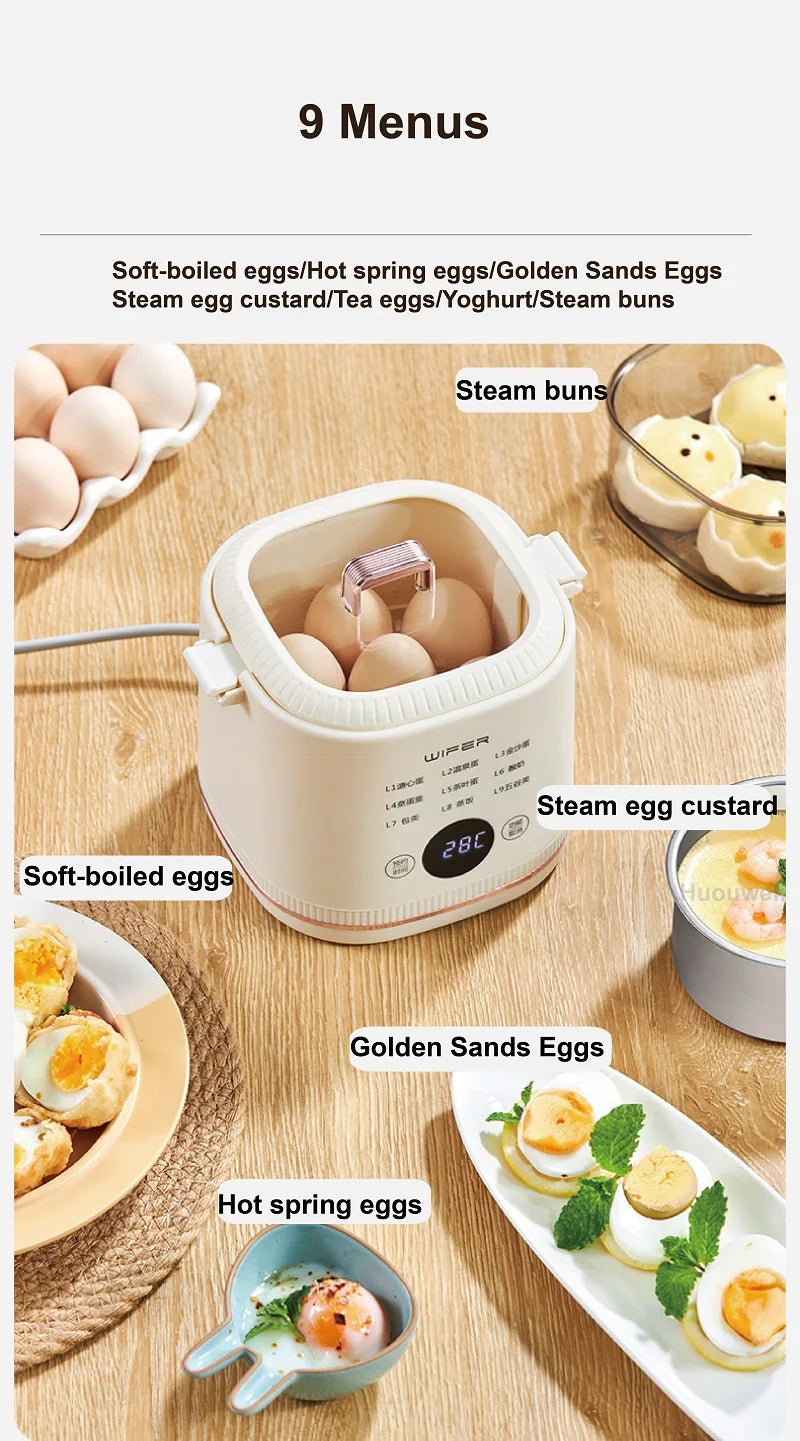 220V Multi-function Electric Steamer Egg Cooker Dormitory Breakfast Machine Reservation Soft-boiled Egg Hot Spring Egg Steamer