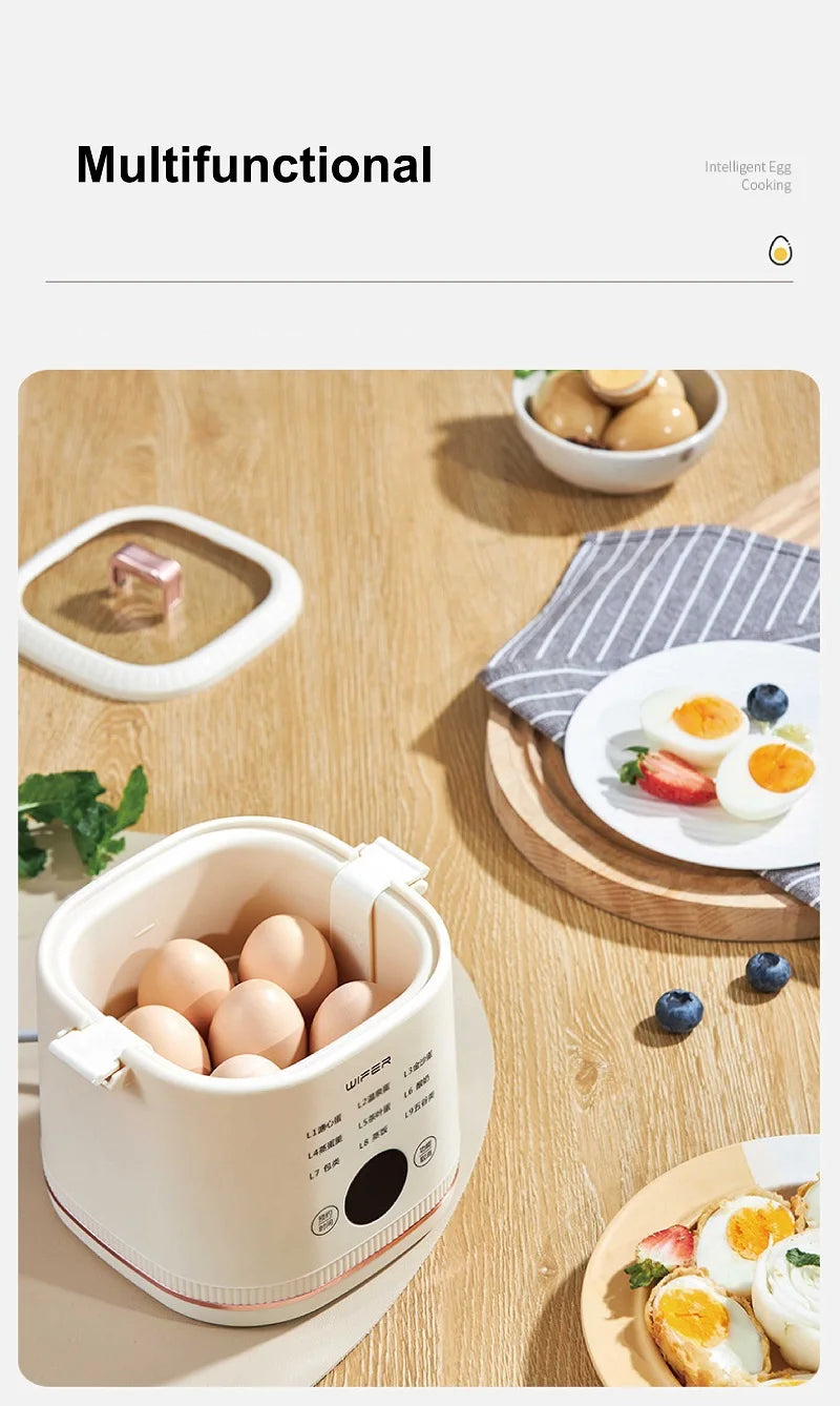 220V Multi-function Electric Steamer Egg Cooker Dormitory Breakfast Machine Reservation Soft-boiled Egg Hot Spring Egg Steamer