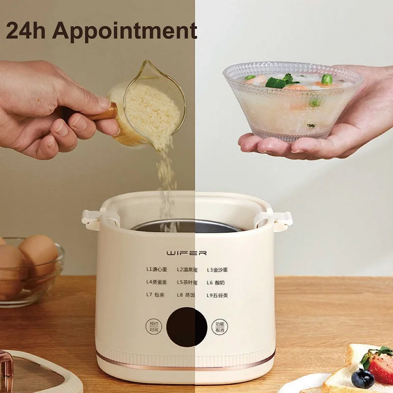 220V Multi-function Electric Steamer Egg Cooker Dormitory Breakfast Machine Reservation Soft-boiled Egg Hot Spring Egg Steamer