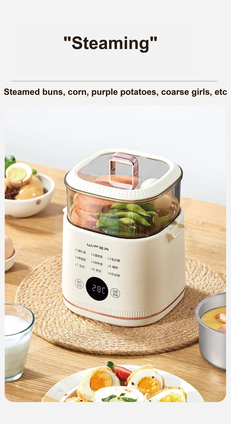 220V Multi-function Electric Steamer Egg Cooker Dormitory Breakfast Machine Reservation Soft-boiled Egg Hot Spring Egg Steamer