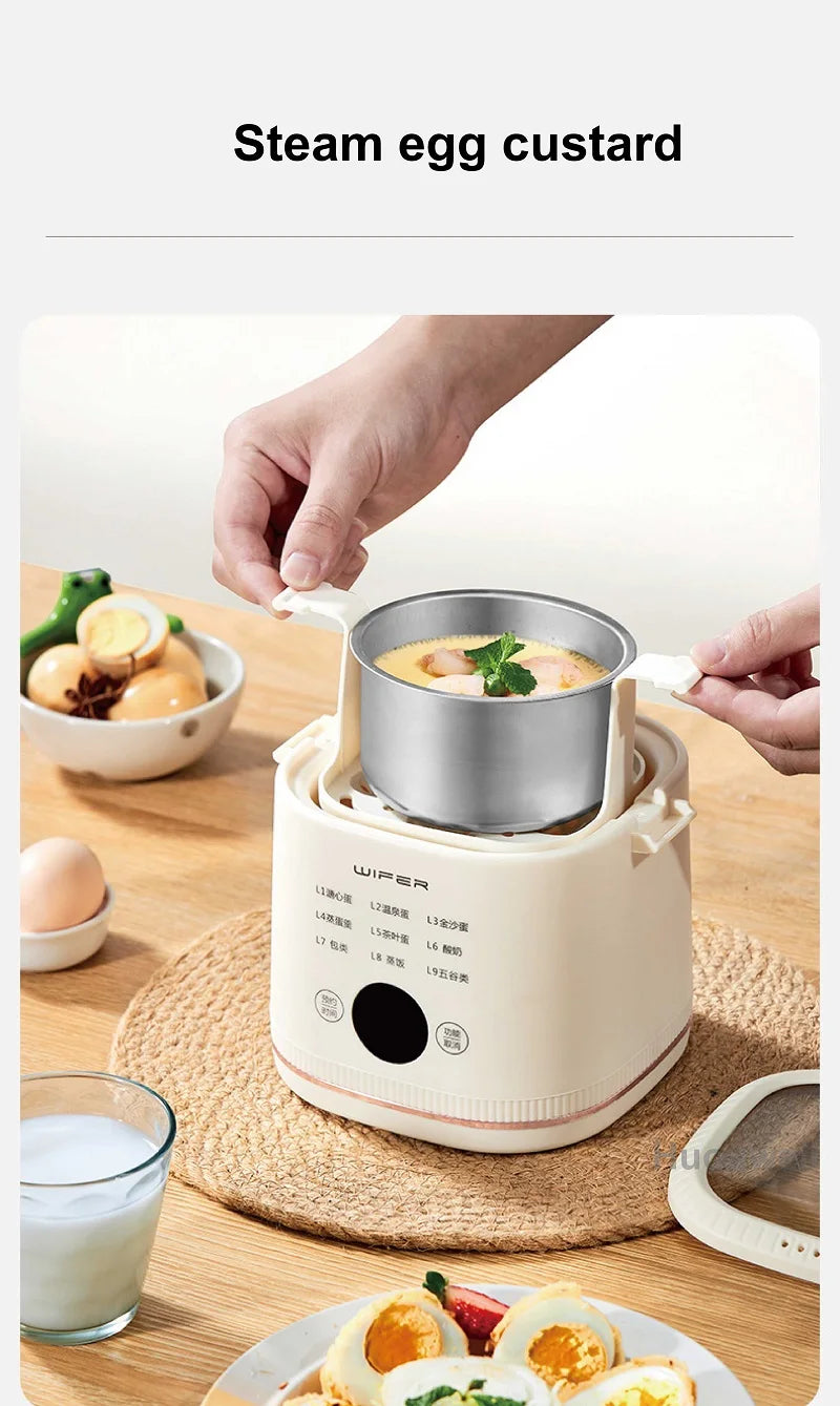 220V Multi-function Electric Steamer Egg Cooker Dormitory Breakfast Machine Reservation Soft-boiled Egg Hot Spring Egg Steamer
