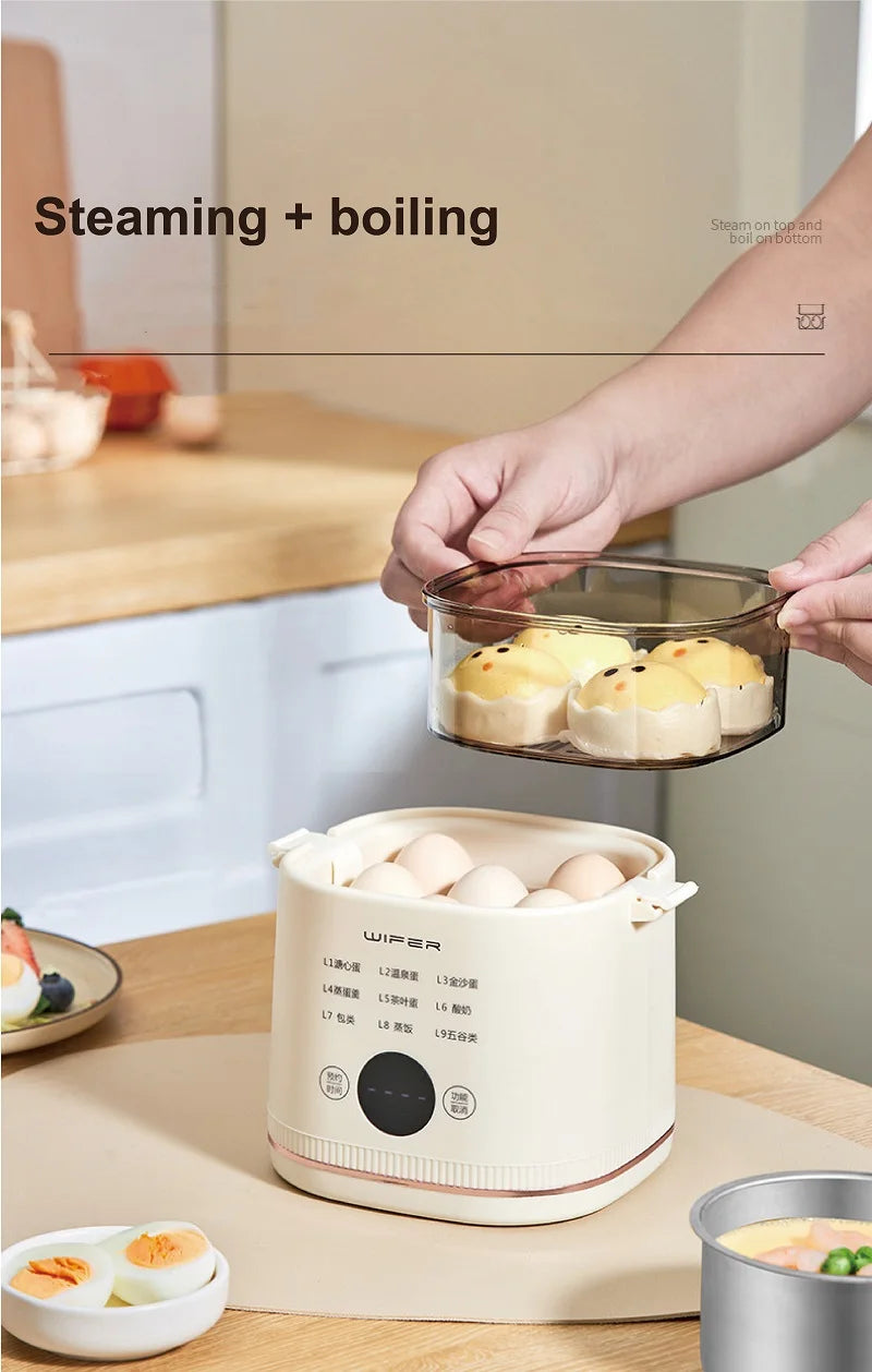 220V Multi-function Electric Steamer Egg Cooker Dormitory Breakfast Machine Reservation Soft-boiled Egg Hot Spring Egg Steamer